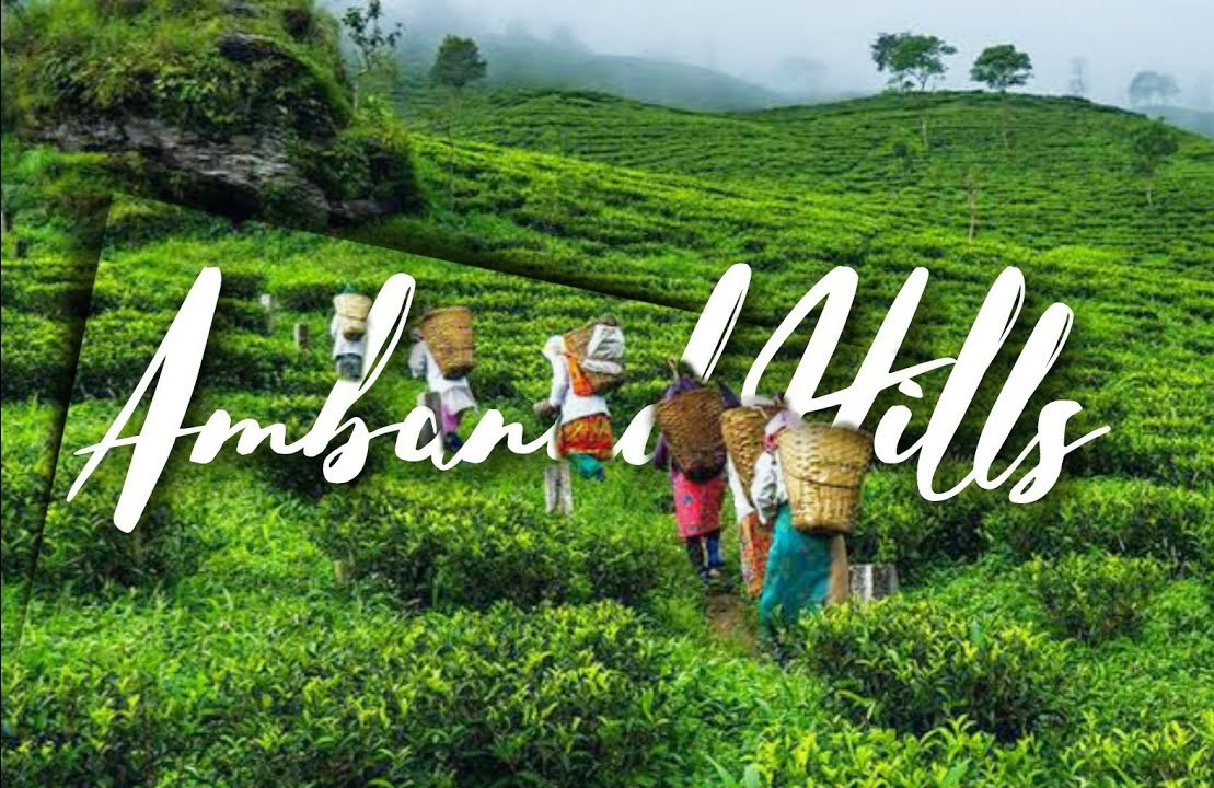 Ambanad Hills and Tea Estate in Kollam