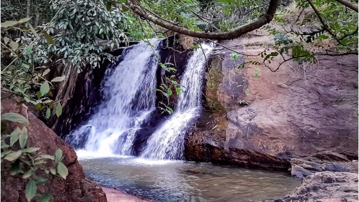 The most popular tourist attractions in Kerala
