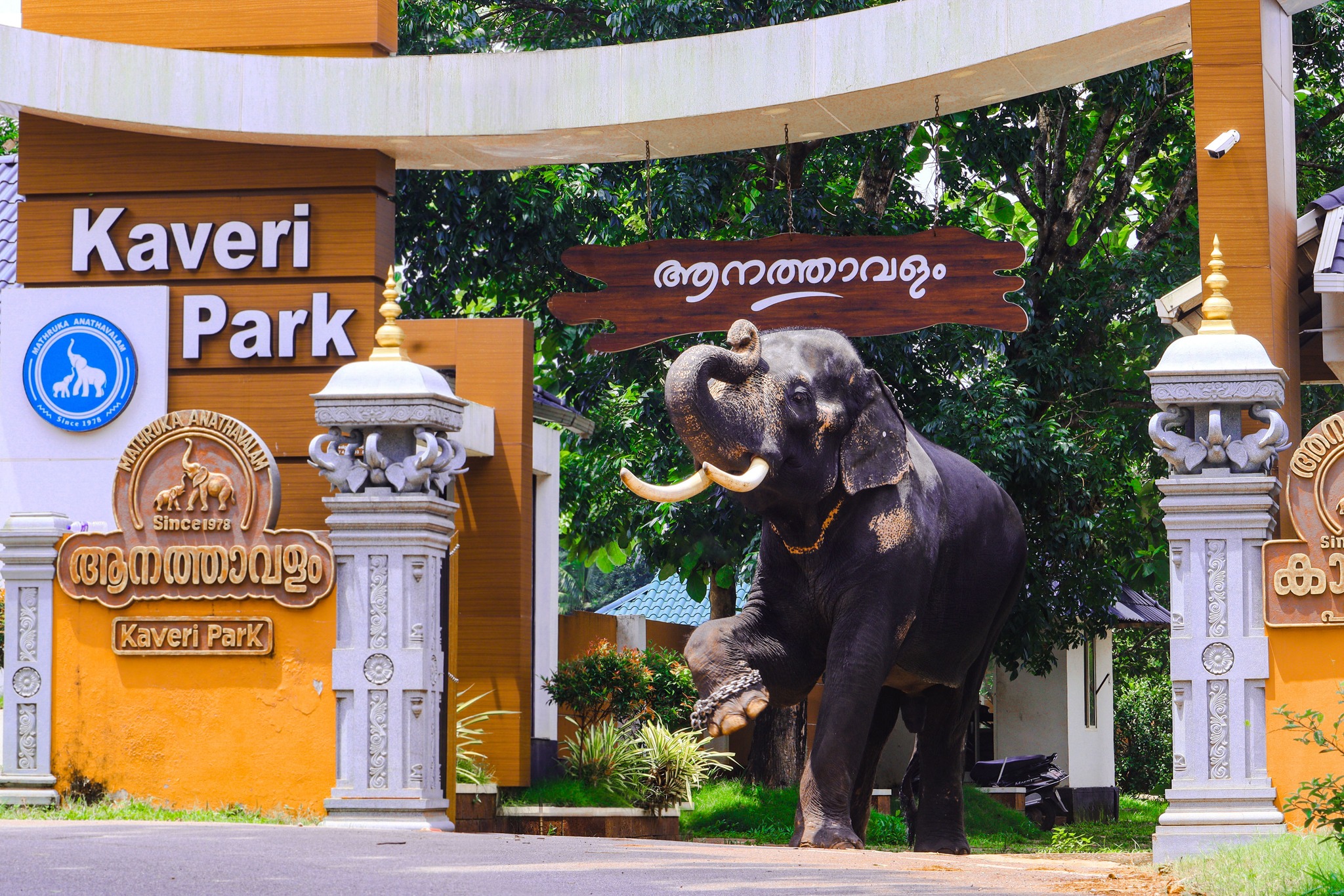 Kaveri Elephant training centre kollam