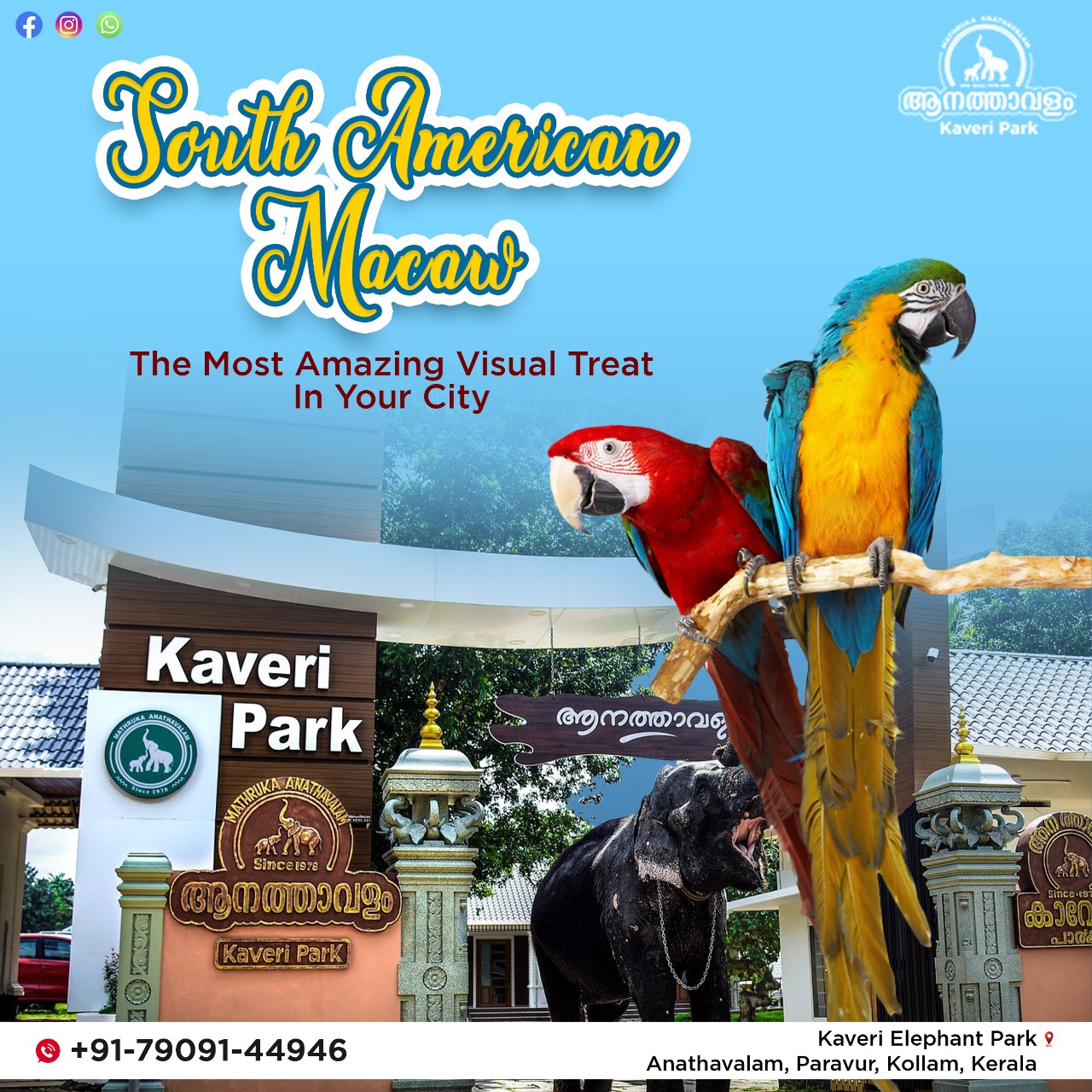 Kaveri Bird Park & Aviary kollam kerala