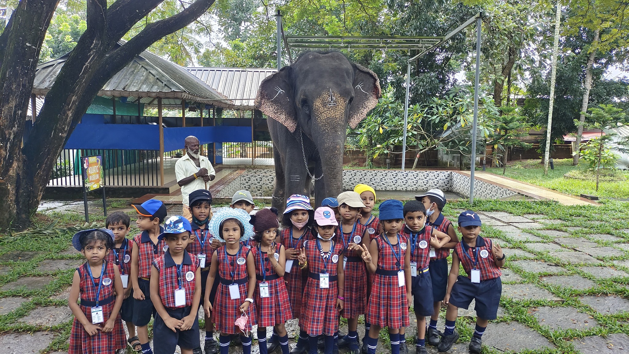 Spend a day with elephant at Kaveri Elephant Park Kollam