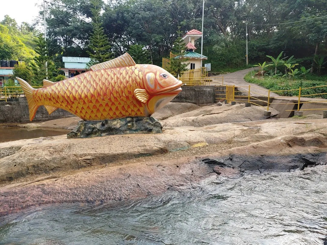 Meenpidipara Viewpoint in Kollam