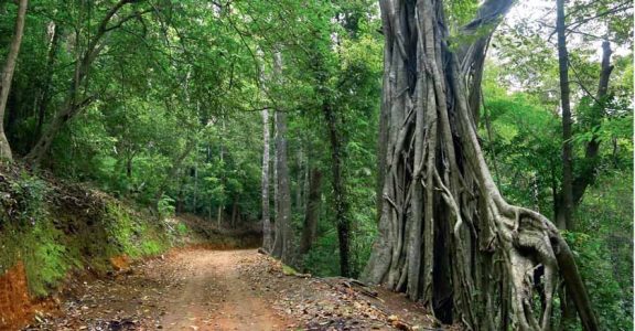 Rosemala View Point Kollam Entry Details
