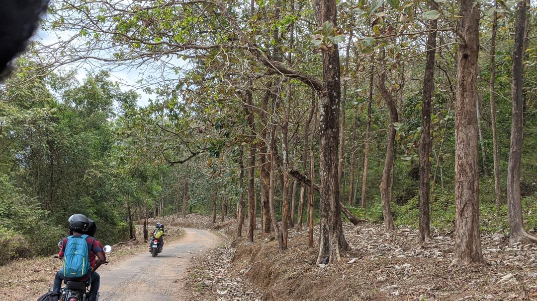Shendurney Wildlife Sanctuary Kollam