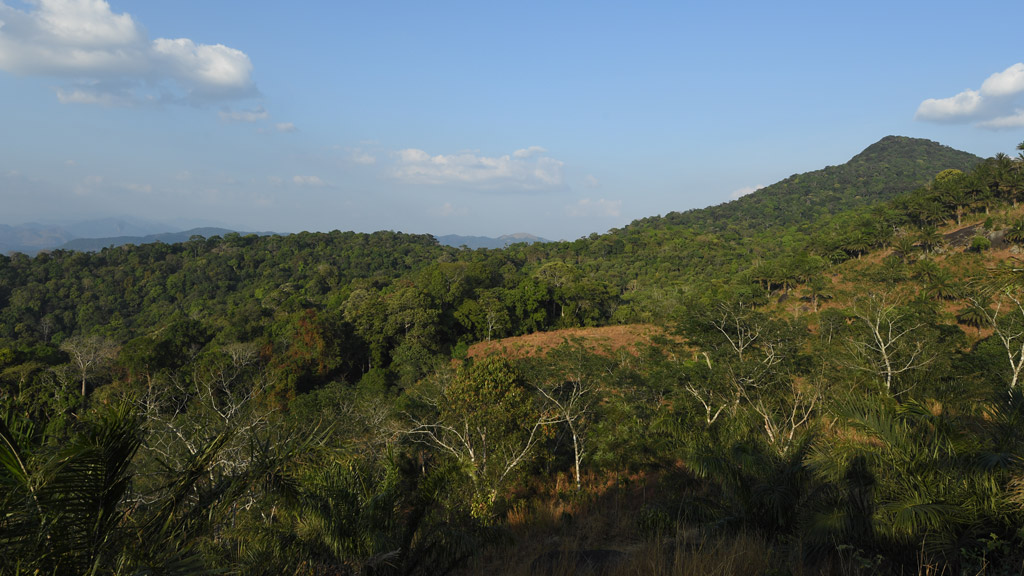 Shendurney Wildlife Sanctuary Kollam